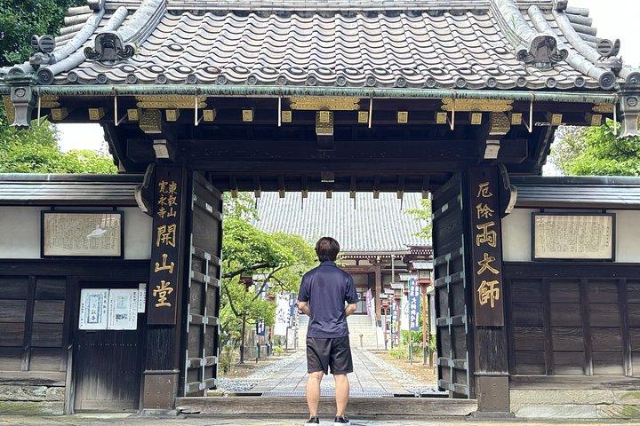 東京：現地ガイド付きプライベートカスタマイズツアー