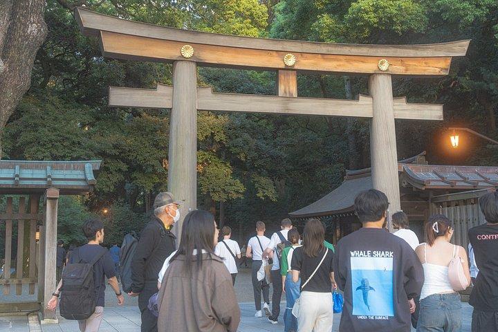東京：現地ガイド付きプライベートカスタマイズツアー