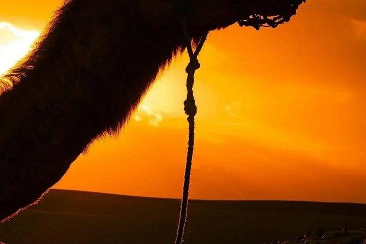 Agafay Desert Sunset Camel Ride and Dinner from Marrakech
