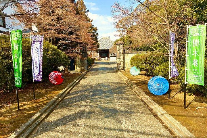 東京新宿猫カフェ、巨大3D猫と谷中猫の町ツアー