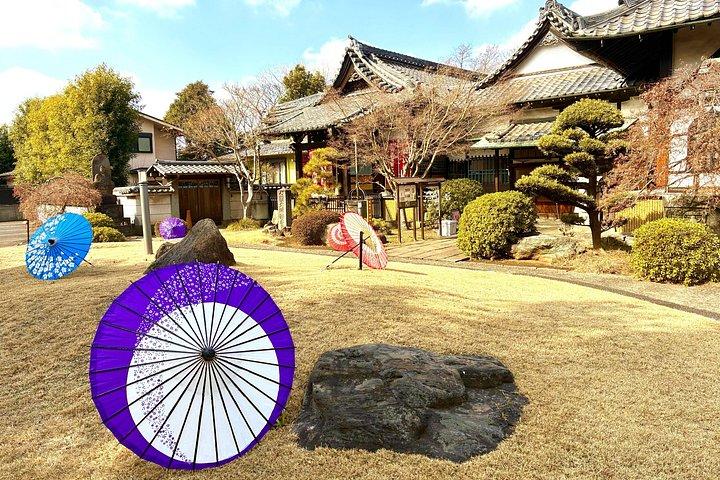 東京新宿猫カフェ、巨大3D猫と谷中猫の町ツアー