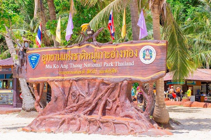 サムイ島発アントン海洋公園ビッグボートツアー（ランチ付き）