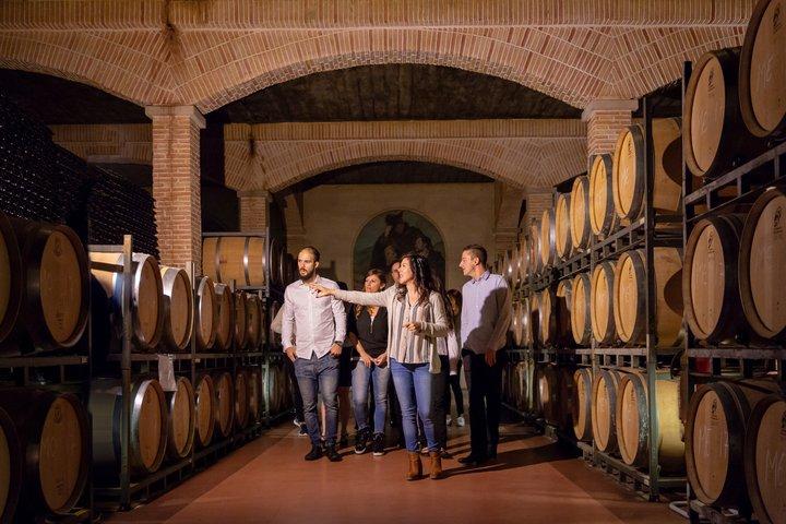 Experiência exclusiva na Bodega Alicante: 6 degustações e um presente.