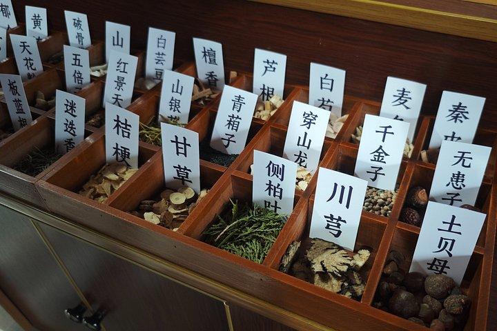 書道または茶道のある上海朱家鼓水城