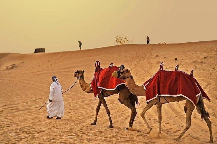 Dubai Morning Safari Four Hours
