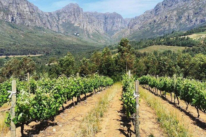 Franschhoek, Stellenbosch and Babylonstoren Wine Tour