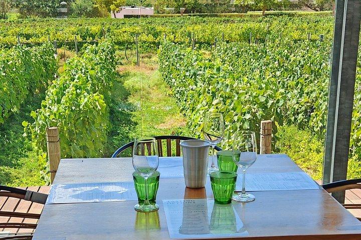 Franschhoek, Stellenbosch and Babylonstoren Wine Tour