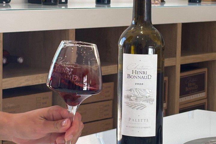 English - Provence Wine Tour near Aix-en-Provence Tasting & Visit