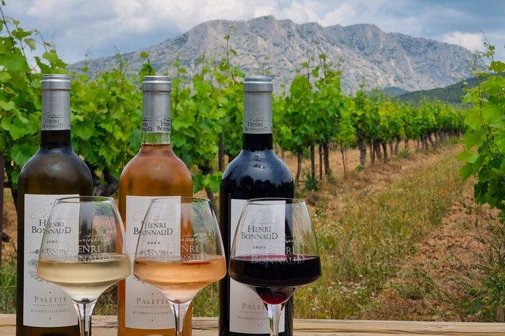 English - Provence Wine Tour near Aix-en-Provence Tasting & Visit