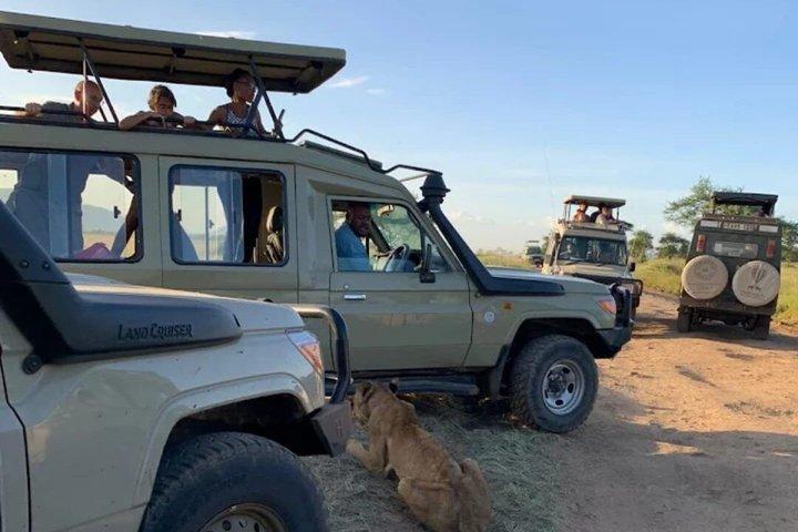 1 Jour Tsavo Est et Ouest Extreme Wildlife Safari Adventure