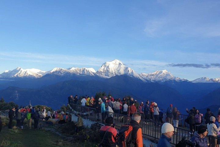 Poon Hill Ghorepani Trek from Kathmandu 7 Day Annapurna Adventure