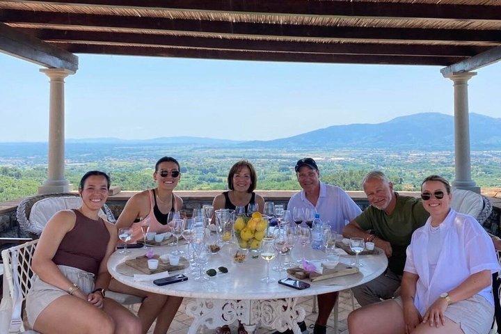 Tour guiado privado: Pisa e Lucca de Florença