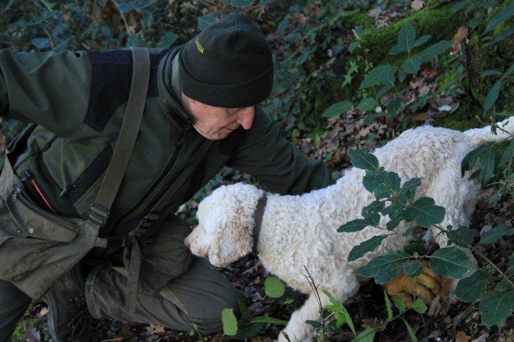 ヴィラ ラ リパでのトリュフ狩り（テイスティングとランチ付き）