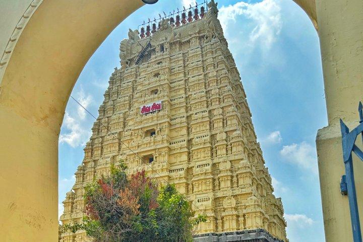 7 Tage Private Tour von Chennai nach Cochin