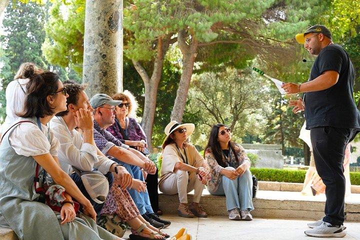 Topkapi Palace with Harem Small Group Guided Tour Historian Guide