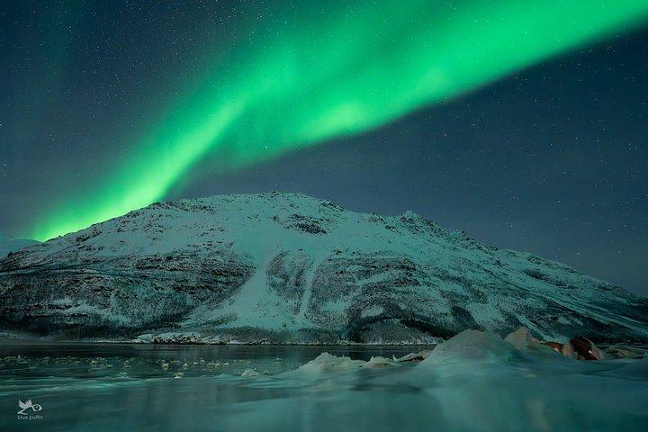 Tromsø : オーロラ・バイ・ミニバス - 暖かい夕食と無料写真！