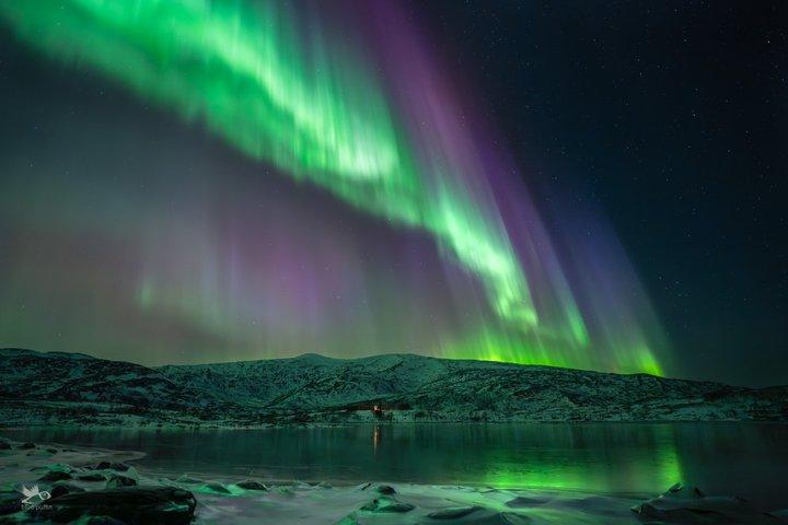 Tromsø : オーロラ・バイ・ミニバス - 暖かい夕食と無料写真！