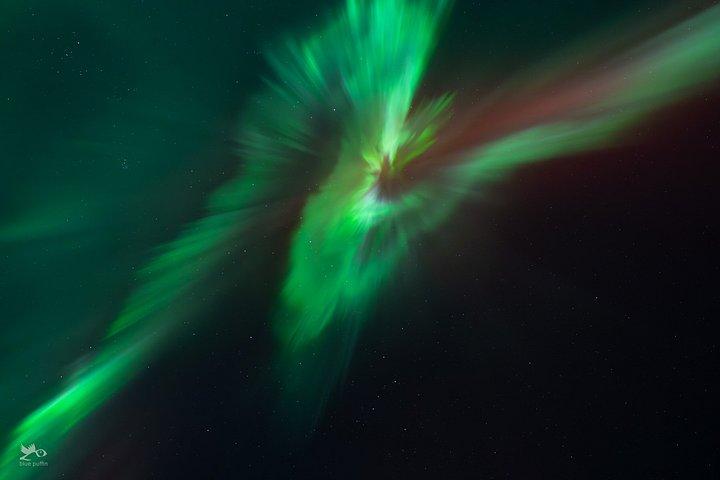 Tromsø : オーロラ・バイ・ミニバス - 暖かい夕食と無料写真！