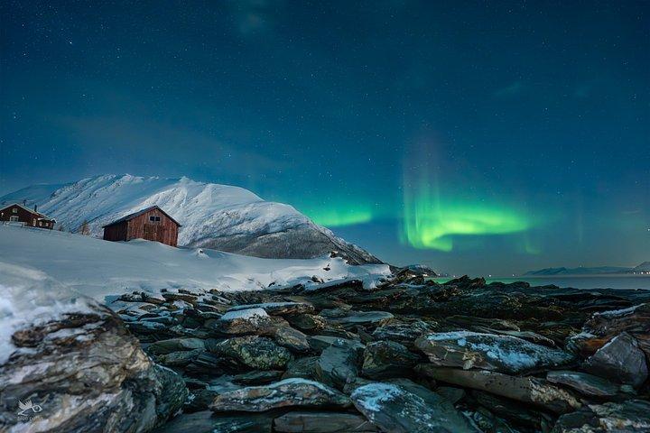 Tromsø : オーロラ・バイ・ミニバス - 暖かい夕食と無料写真！