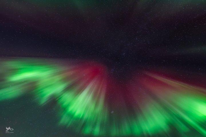 Tromsø : オーロラ・バイ・ミニバス - 暖かい夕食と無料写真！