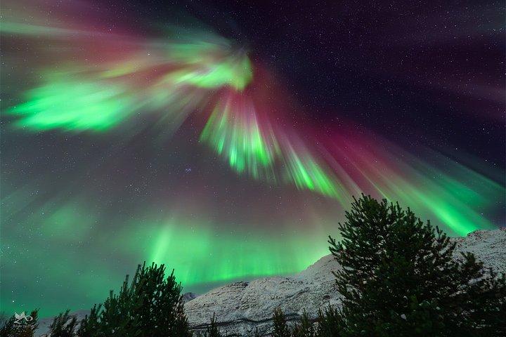 Tromsø : オーロラ・バイ・ミニバス - 暖かい夕食と無料写真！