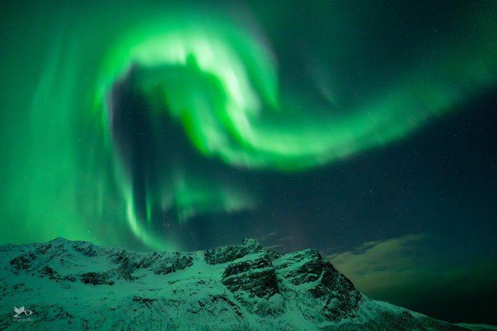 Tromsø : オーロラ・バイ・ミニバス - 暖かい夕食と無料写真！