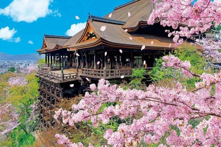 Kyoto Private Highlights Anpassbare Tour & Englisch Fortgeschrittener Fahrer