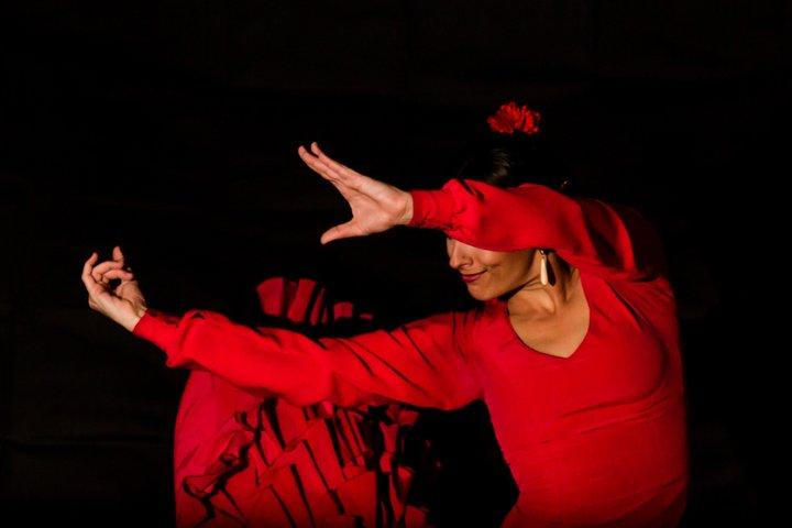 Espectáculo Flamenco con Jamón y Vino en Madrid Para 2 Personas