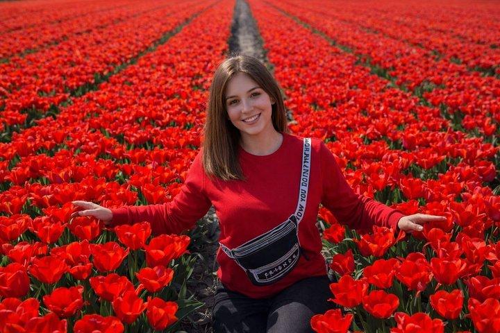 Amsterdam: tour privato al Keukenhof e alla fattoria dei fiori con biglietto