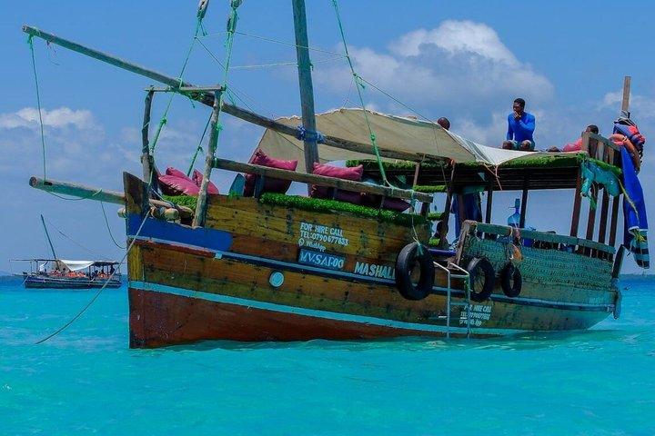 Excursão de um dia Wasini Dolphin de Diani Beach