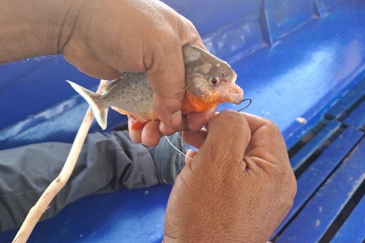クカマス族、バタフライ プリザーブ、スポーツ ピラニア フィッシング - すべてのチケットが含まれています