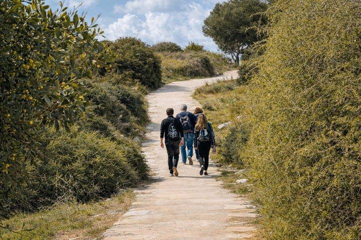 Limassol, Kourion, and Kolossi Castle Guided Tour From Paphos