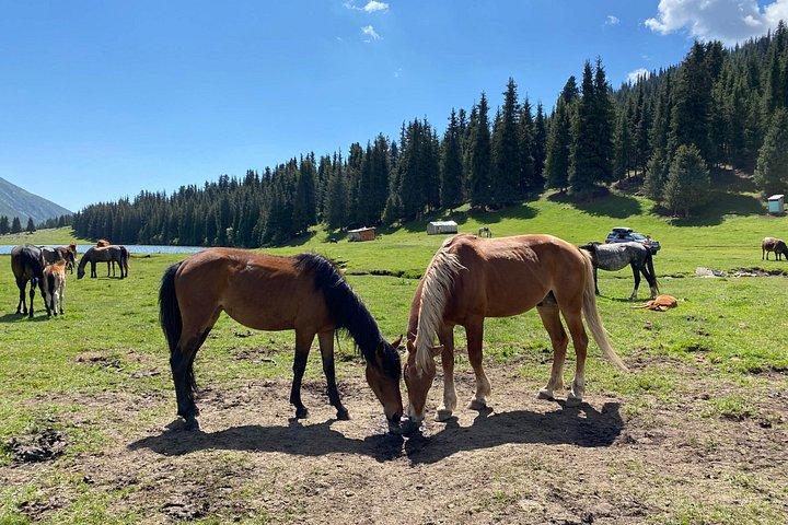 4 Day Adventure around Issyk Kul lake