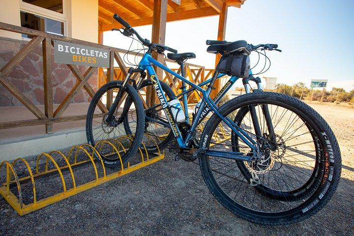 プンタ・ロマ自然保護区の自転車ツアー