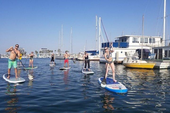 Marina Discovery Paddle : Aprenda SUP & Explore Vida Silvestre