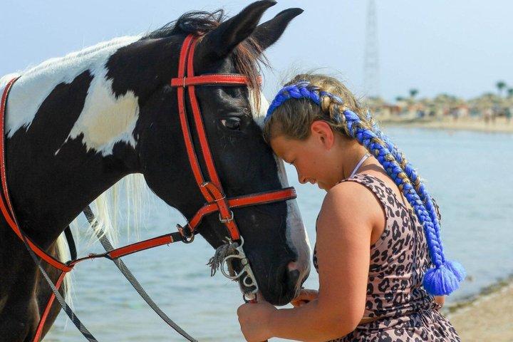 Privat ridetur i ørkenen og på stranden i Hurghada i topklasse. Varighed: 2 timer.