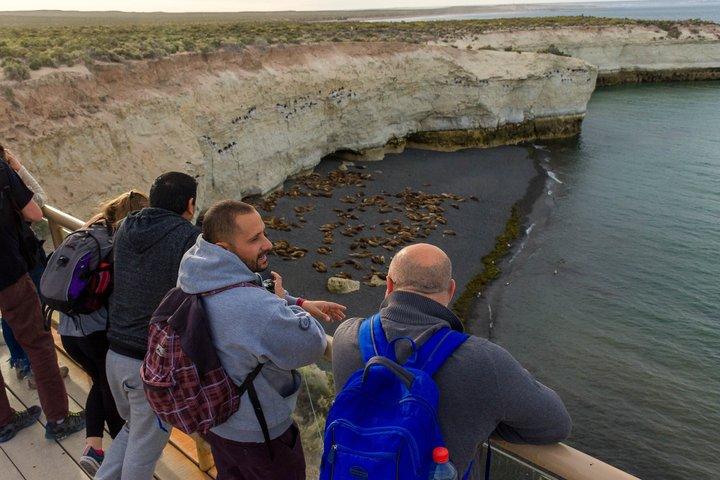 Visite de Punta Loma et croisières Puerto Madryn