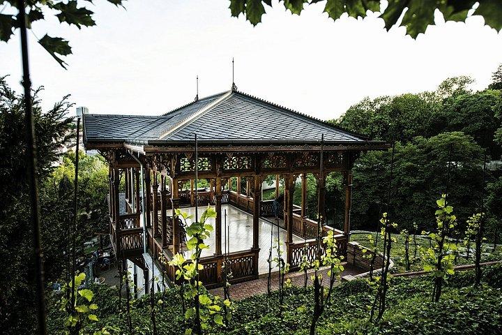 プラハの隠れたブドウ園プライベートツアー