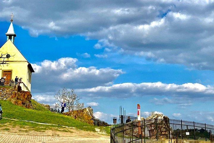 プラハの隠れたブドウ園プライベートツアー