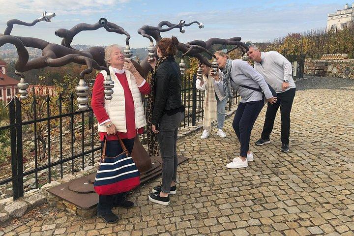 プラハの隠れたブドウ園プライベートツアー