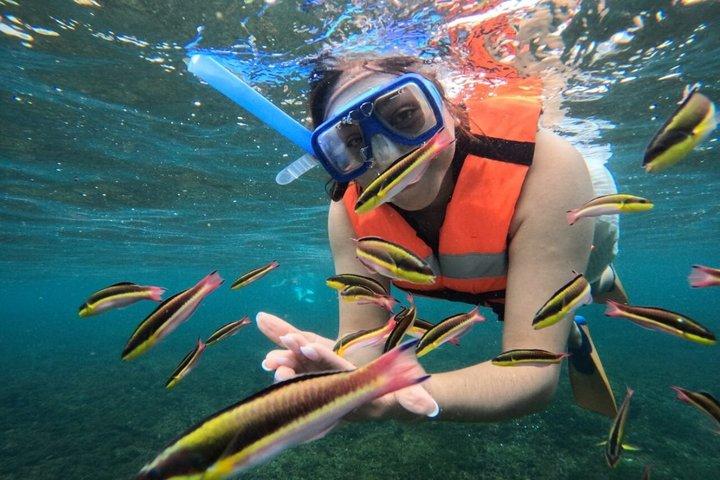 ワタルコ湾のプライベートツアー