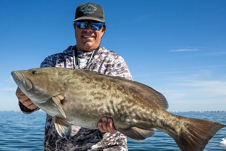 Sarasota Guided Fishing Trips