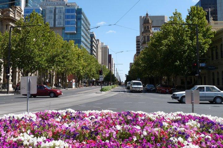 O melhor de Adelaide - destaques da cidade (tour de meio dia)