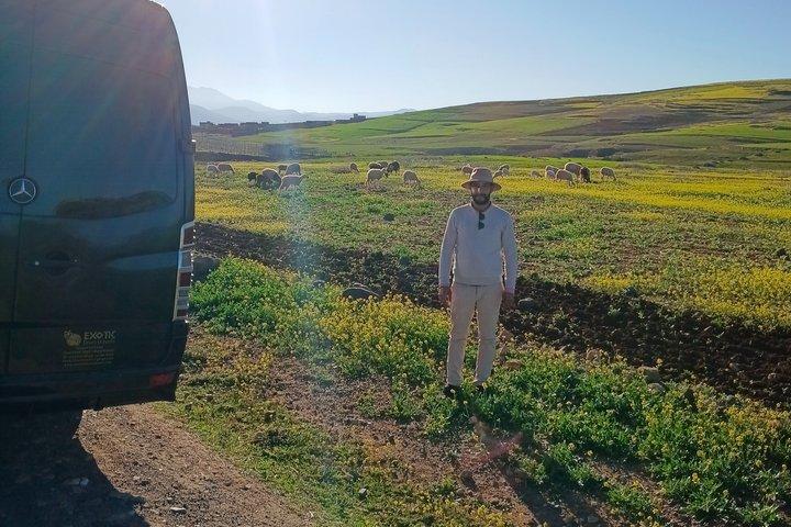 Excursão de um dia ao Vale de Ourika saindo de Marrakech | Melhor excursão e cachoeiras