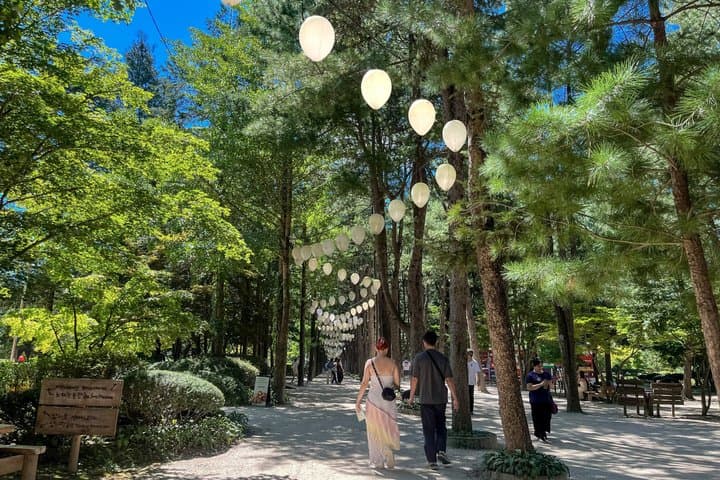 Alpaca World, Nami Island with optional Railbike Tour from Seoul
