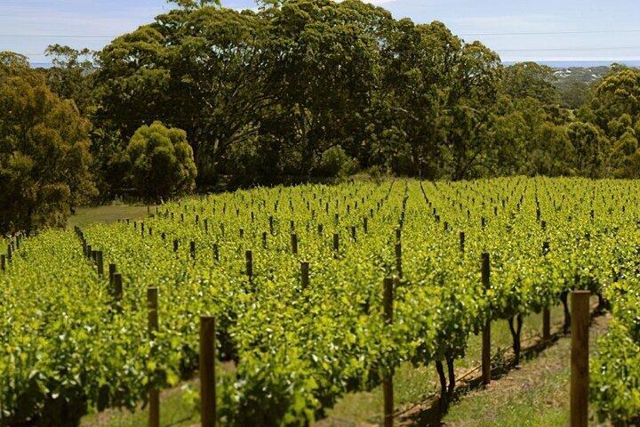 Sip & Scenic: Adelaide Hills