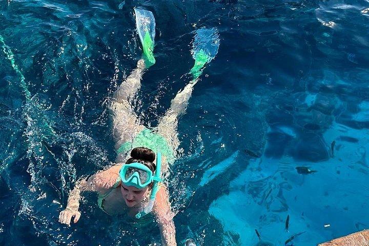 ハルガダ：シュノーケリングとランチ付きのフラフラ島ビーチクルーズ