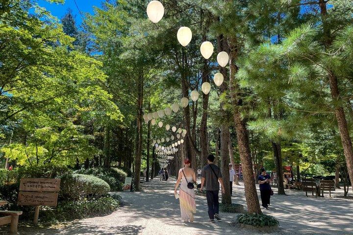 Seul para/de Nami Island: Serviço de ônibus shuttle