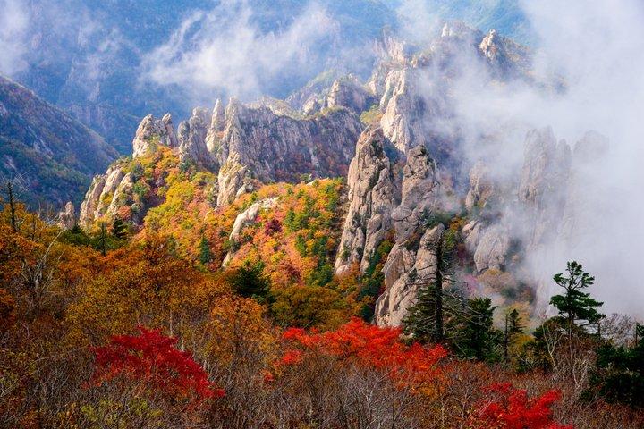 Mount Seorak and Nami Island One Day Tour from Seoul