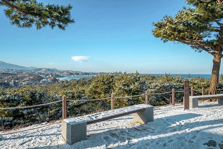 ソウル発雪岳と洛山寺日帰りツアー